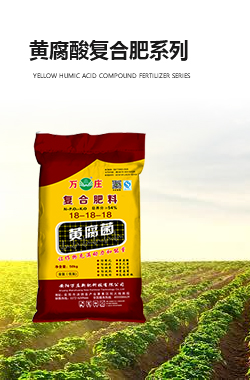 黄腐酸小蝌蚪视频污下载系列
