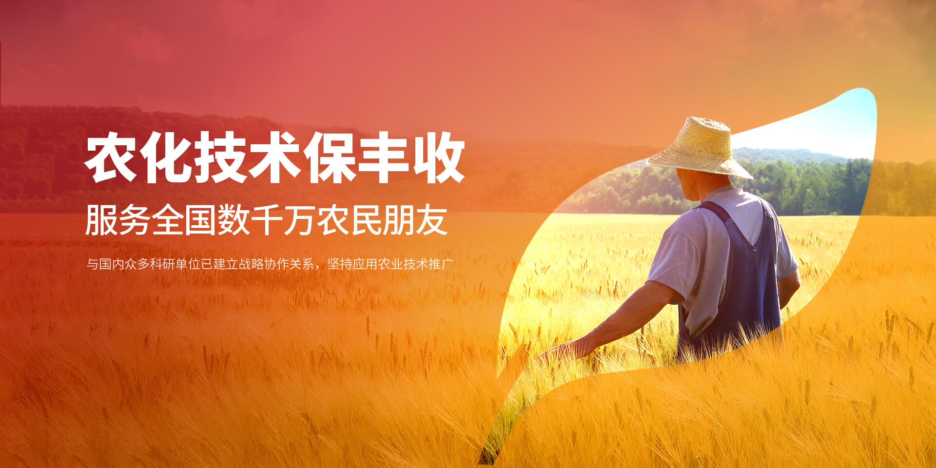 安阳小蝌蚪视频网站免费观看网站新肥科技有限公司