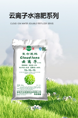 云离子黄色APP小蝌蚪肥系列