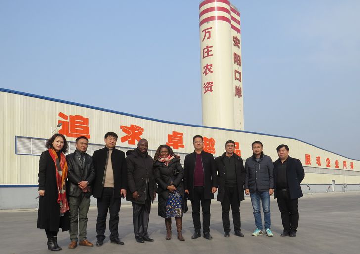栽下梧桐树，引得凤凰来 ——多哥共和国农业部官员一行考察小蝌蚪视频网站免费观看网站新肥