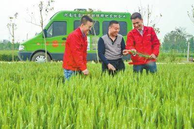 小蝌蚪视频网站免费观看网站化肥定制化生产让经销商扮演新角色