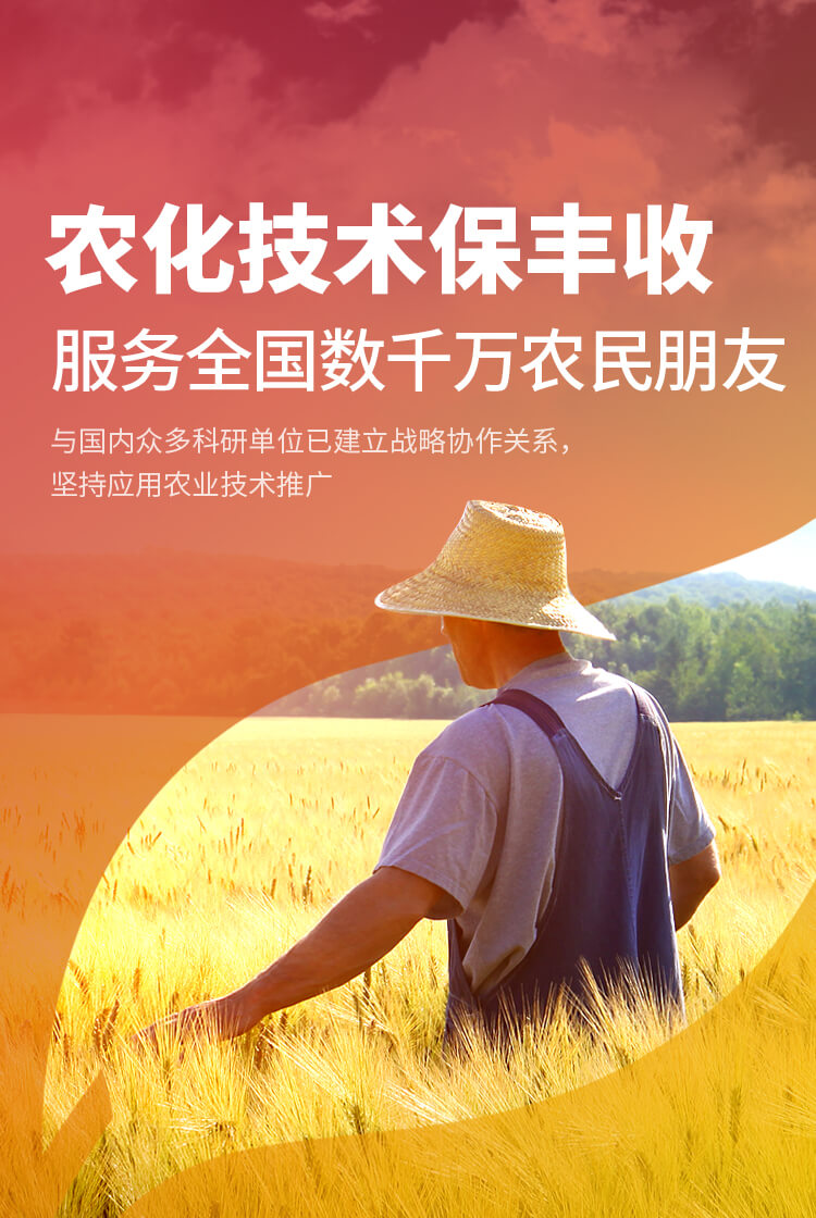 安阳小蝌蚪视频网站免费观看网站新肥科技有限公司